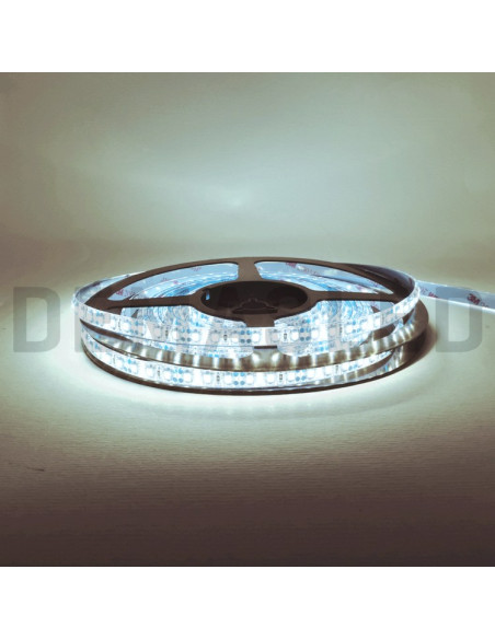 Tira LED SMD3528, IP68, 12V, 9W/M, 960 Lm/M, 120 LED/M, 5m