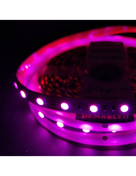 Tira LED SMD5050 24V 12W/m, RGB 720lm/m 60 LEDs/m, 5m