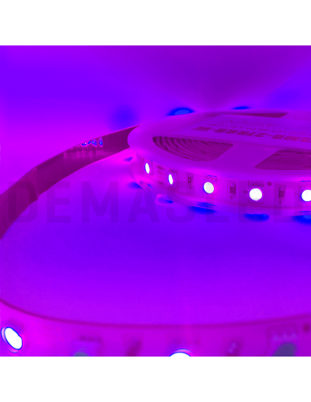 Tira LED UV SMD5050 12V 12W/M Ultravioleta 90lm/M 60 LEDs/M, 5m
