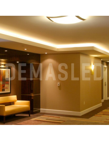 Tira LED SMD2835 24V 12W/m 1200lm/m 120 LEDs/m 8mm PBC, 5m