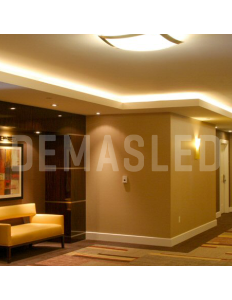 Tira LED SMD2835 24V 12W/m 1200lm/m 120 LEDs/m 8mm PBC, 5m