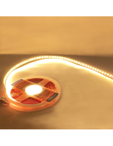 Tira LED SMD2835 24V 12W/m 1200lm/m 120 LEDs/m 8mm PBC, 5m