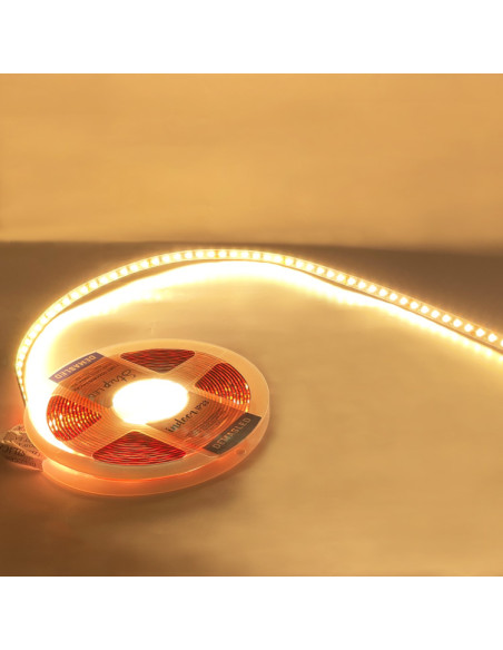 Tira LED SMD2835 24V 12W/m 1200lm/m 120 LEDs/m 8mm PBC, 5m