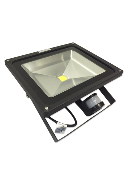 Proyector LED para exterior 50W, 4000lm blanco frío 100-240V IP65