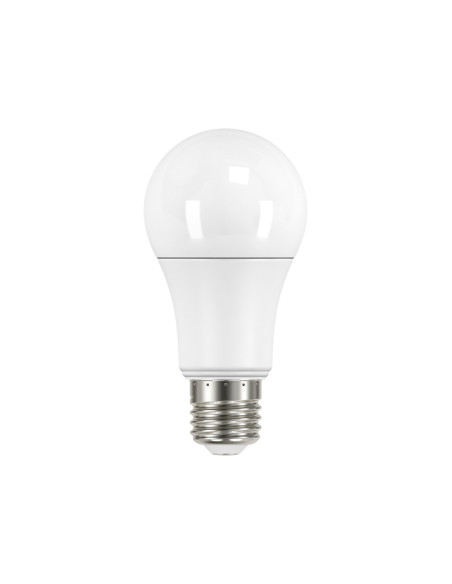 Bombilla LED E27 8W 800lm, 220V