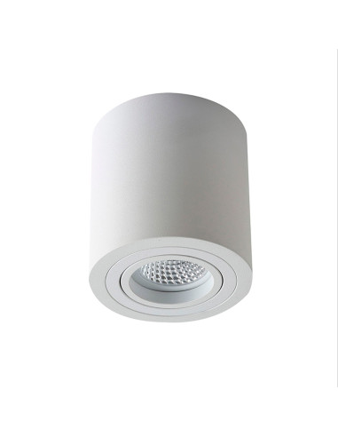 Plafón orientable cilíndrico nc1464