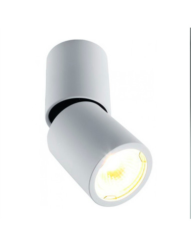 Cilindro orientable altura 158mm sin bombilla nc1800