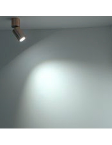 Cilindro orientable altura 158mm sin bombilla nc1800