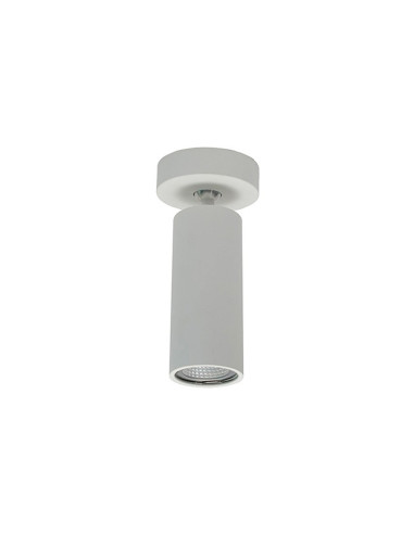 Cilindro orientable altura 185mm nc1968
