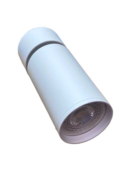 Foco de superficie orientable para GU10