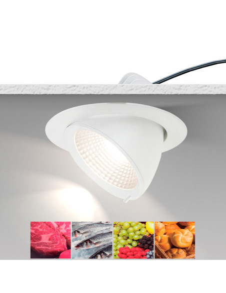 Empotrable modelo DL80 - COB LED 36,5W 3250LM ESPECIAL CARNE en color Blanco