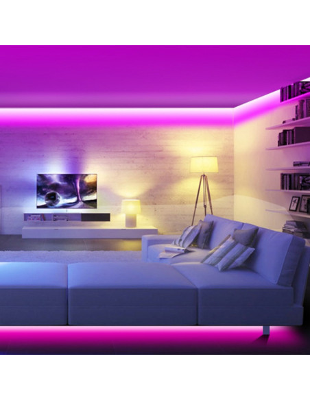 Controlador RGB Programable DEMASLED interior 12-24V 288-576W 24A