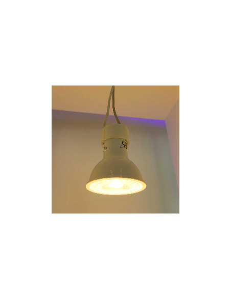Casquillo GU10, cable 19cm, para Dicroicas LED GU10