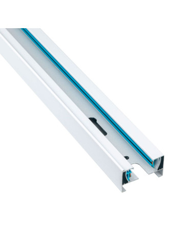 Carril Monofásico Negro x2m