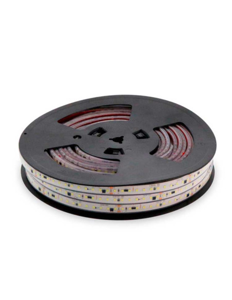 Tira LED IP65  AC240V - 17W/m x1m