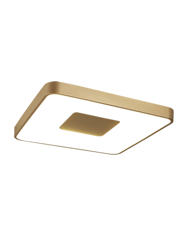 Plafón de techo COIN