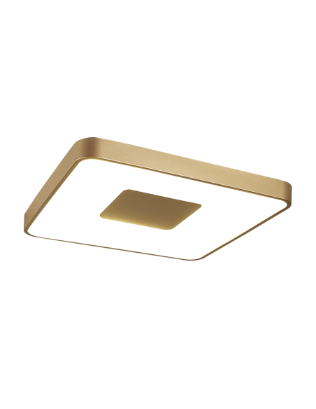 Plafón de techo COIN