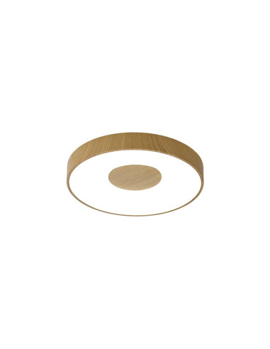 Plafón de techo COIN