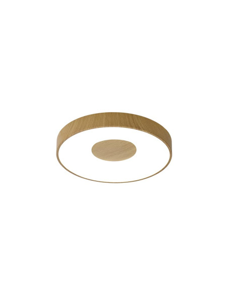 Plafón de techo COIN