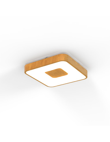 Plafón de techo COIN