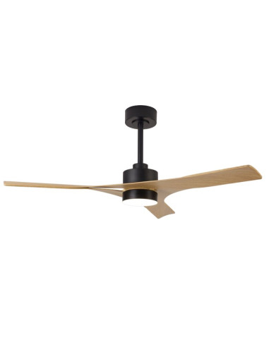 Ventilador de Techo THAI