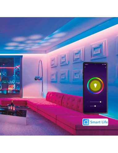 Controlador LED 5 en 1 WiFi 2.4GHz 12A máx. IP20