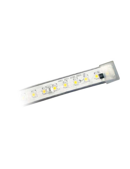 Tira LED IP65  AC240V - 14W/m Blanco frío 6000Kº x1m