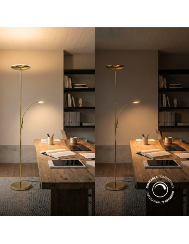 Lámpara de Pie LED con Luz de Lectura Dimerizable Ø290x30mm 25W Blanco Cálido 3000K 1800mm